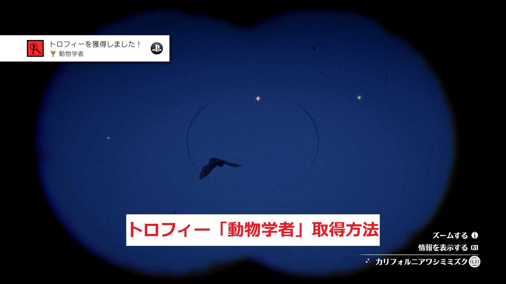 トロフィー 動物学者 皮一重 取得方法 レッドデッドリデンプション２攻略 光る原人